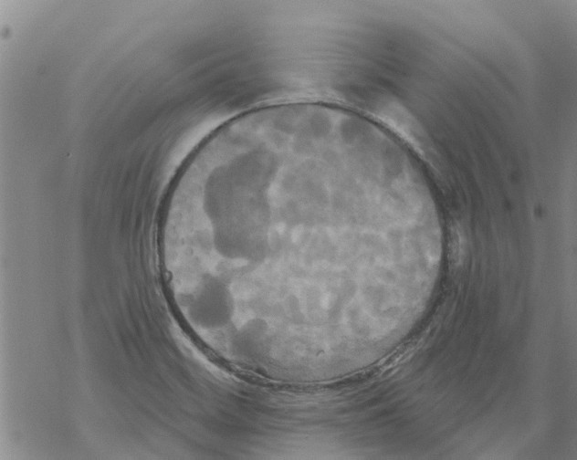 X0000068771468200605262154