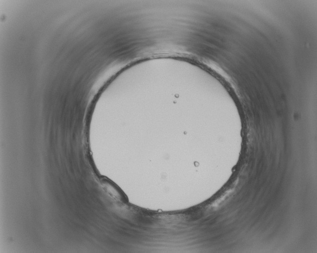 X0000068771469200605262154