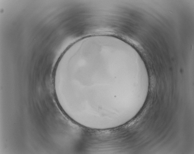 X0000068771470200605262154