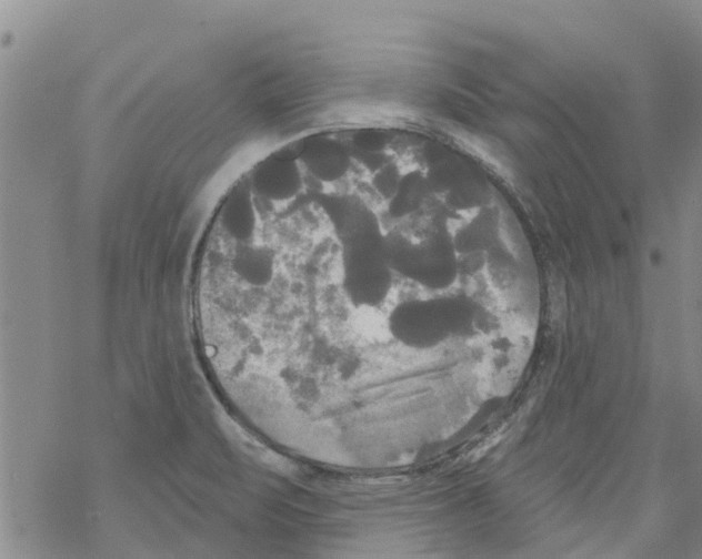 X0000068771471200605262154