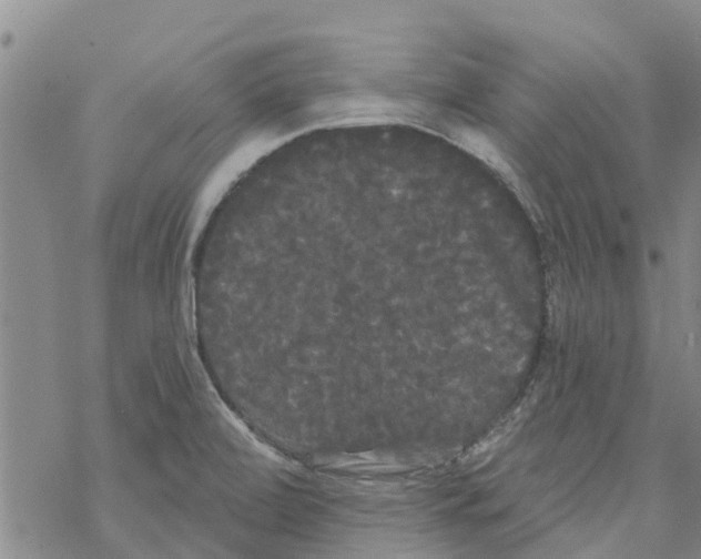 X0000068771472200605262154