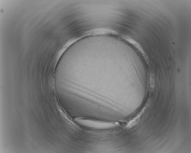 X0000068771473200605262154