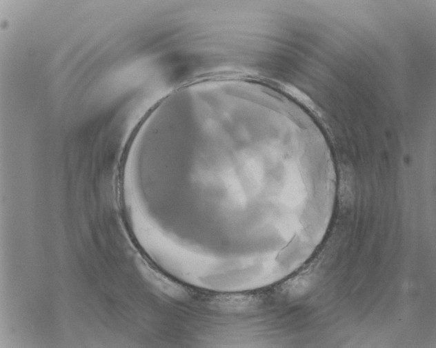 X0000068771474200605262154