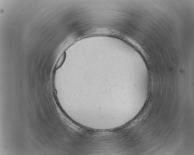 X0000068771475200605262154