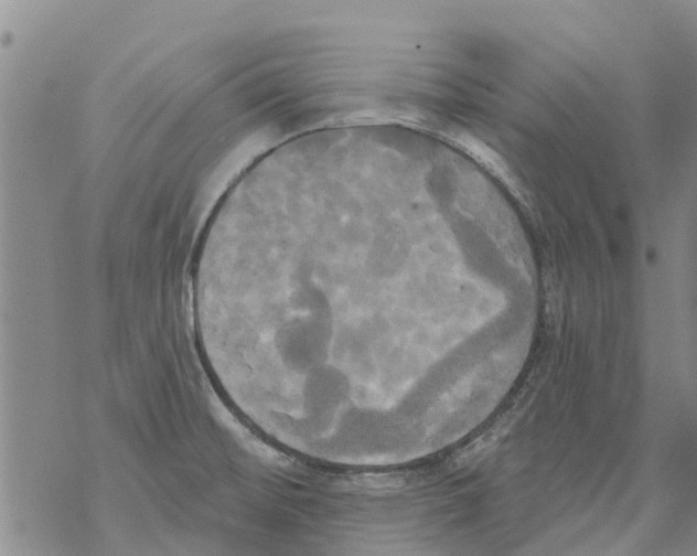 X0000068771476200605262154