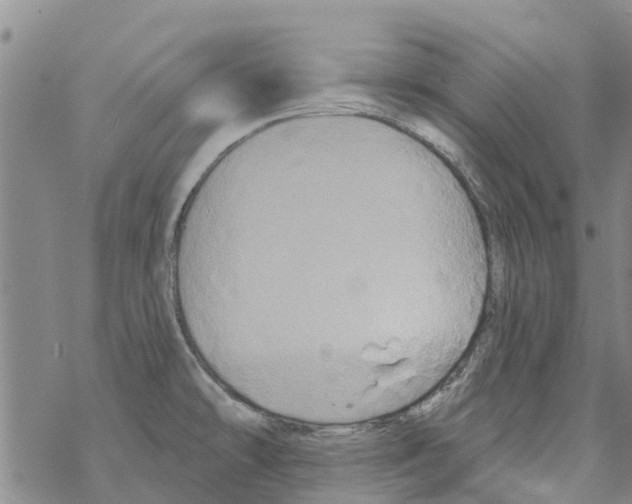 X0000068771478200605262154