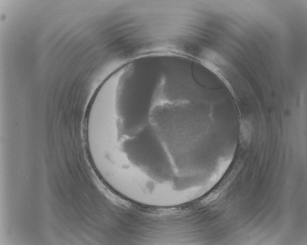 X0000068771482200605262154