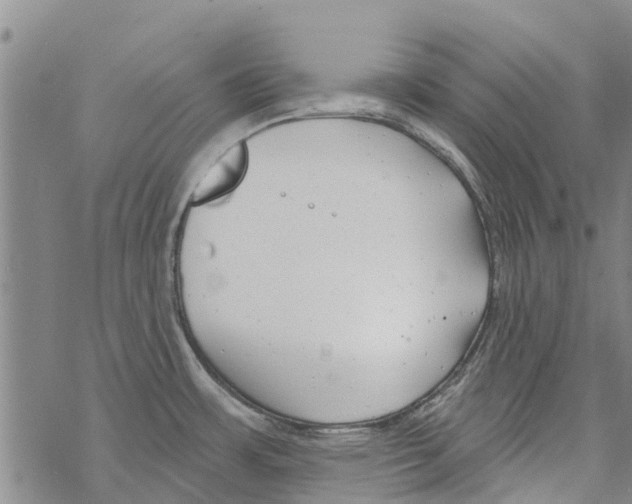 X0000068771483200605262154