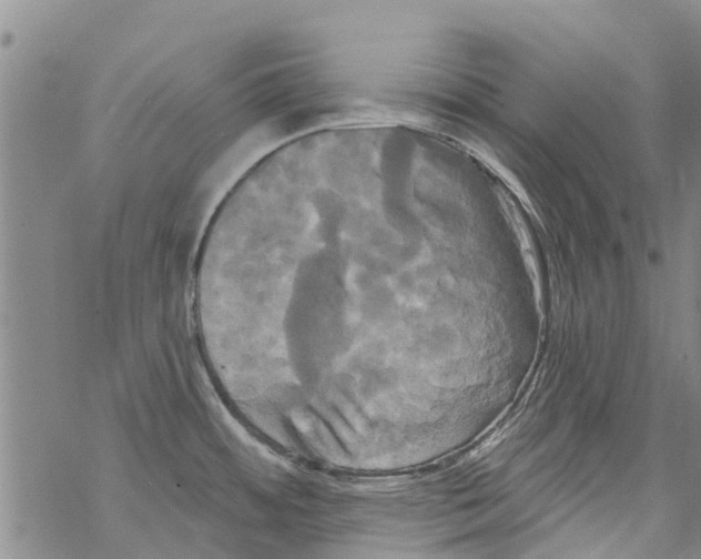 X0000068771484200605262154