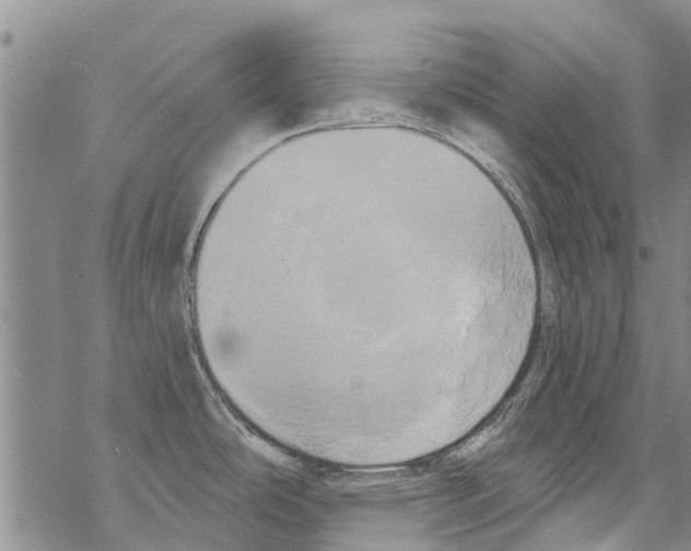 X0000068771486200605262154