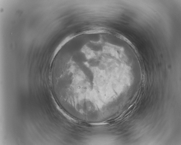 X0000068771487200605262154