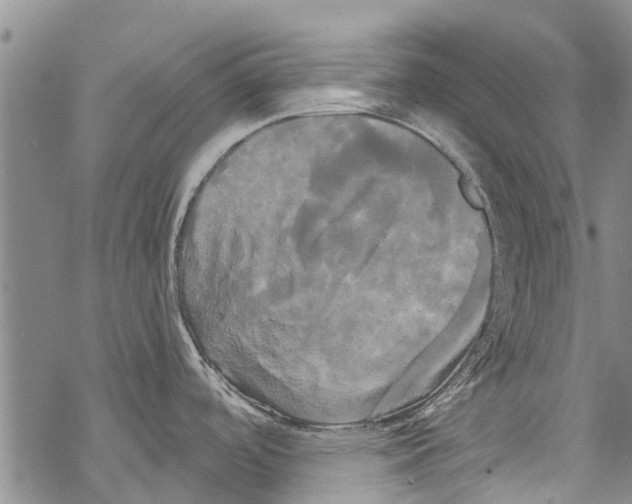 X0000068771488200605262153