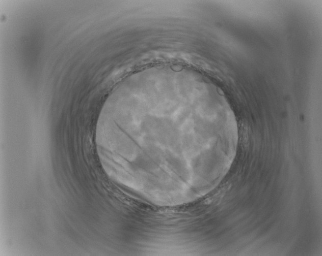 X0000068771489200605262153