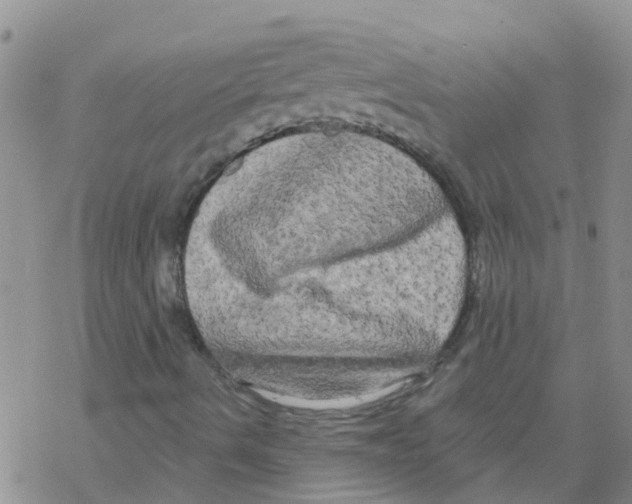 X0000068771490200605262153