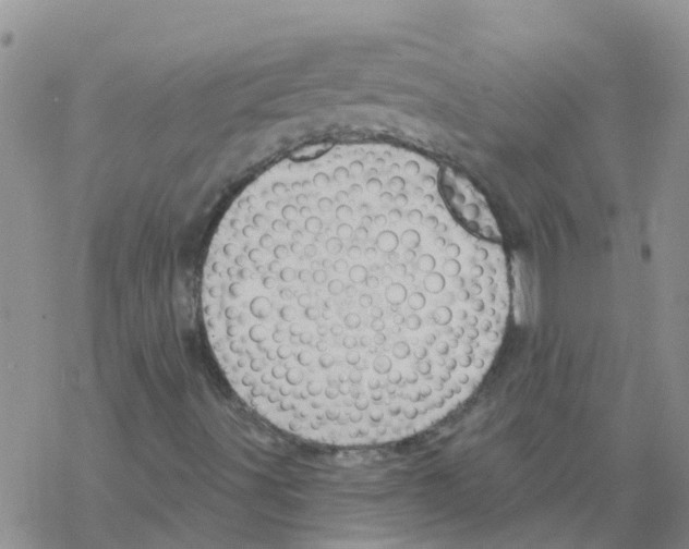 X0000068771491200605262153