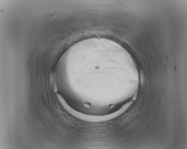 X0000068771492200605262153