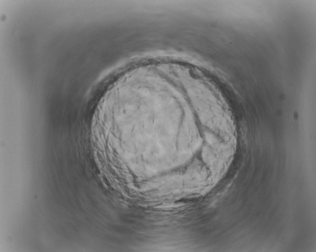 X0000068771494200605262153