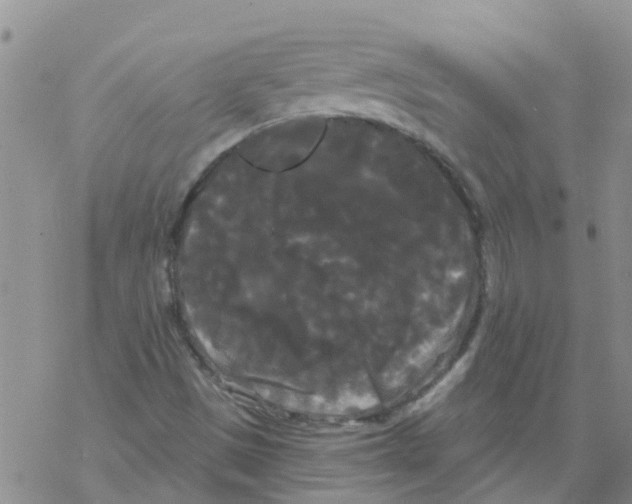 X0000068771497200605262153