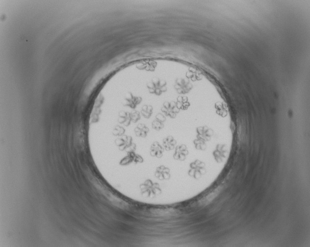 X0000068771498200605262153