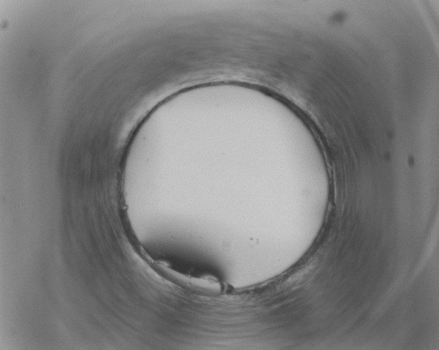 X0000068771500200605262153