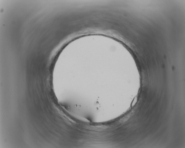 X0000068771502200605262153