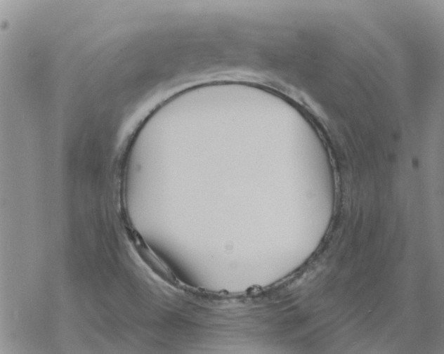 X0000068771504200605262153