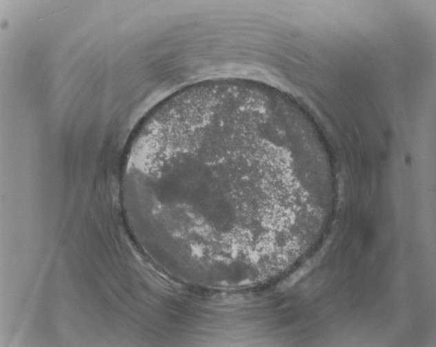 X0000068771505200605262153