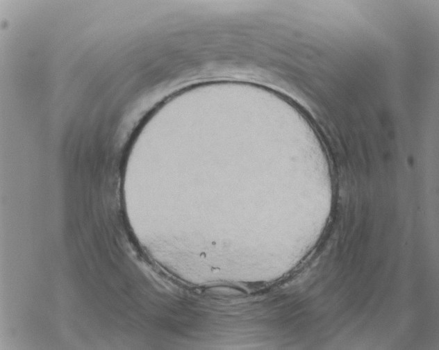 X0000068771507200605262153