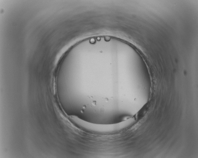 X0000068771510200605262153