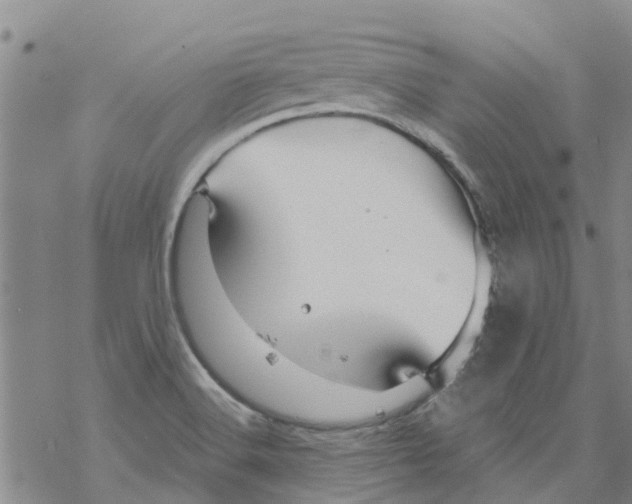 X0000068771516200605262153