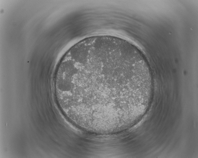 X0000068771517200605262153