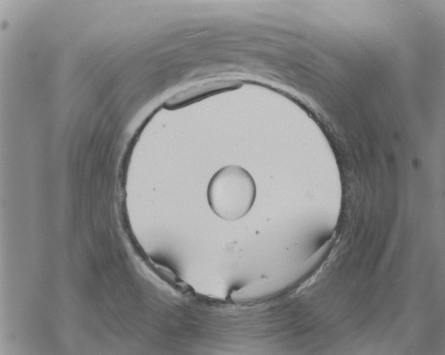 X0000068771518200605262153