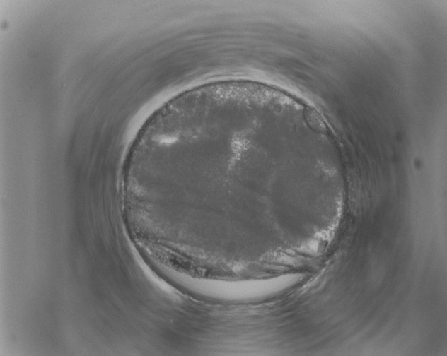 X0000068771519200605262153