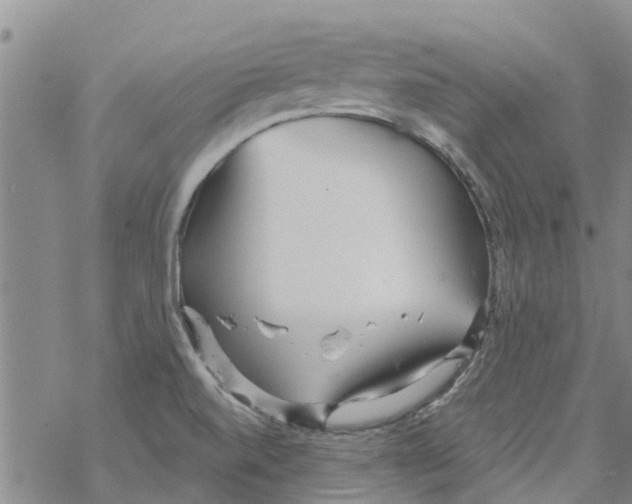 X0000068771520200605262153