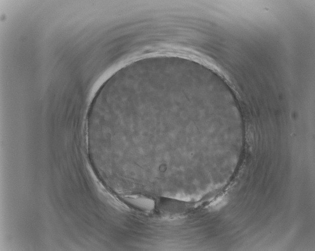 X0000068771522200605262153