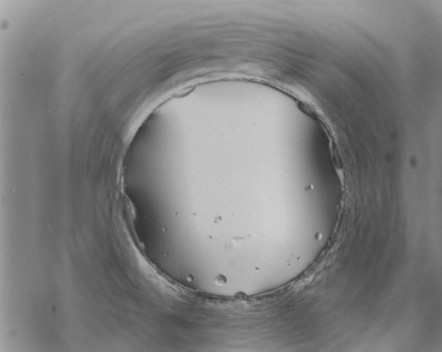 X0000068771524200605262153