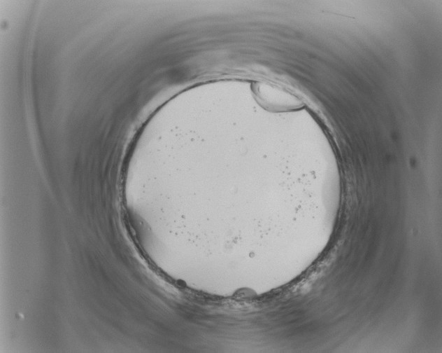 X0000068771525200605262153