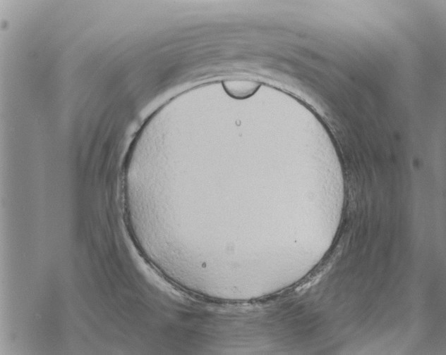 X0000068771526200605262153