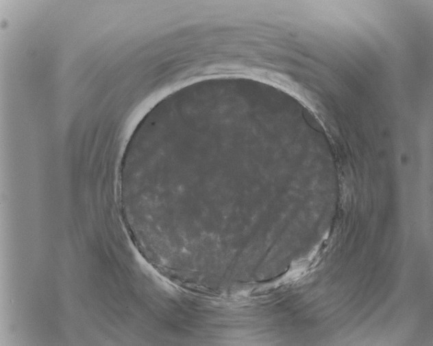 X0000068771527200605262153