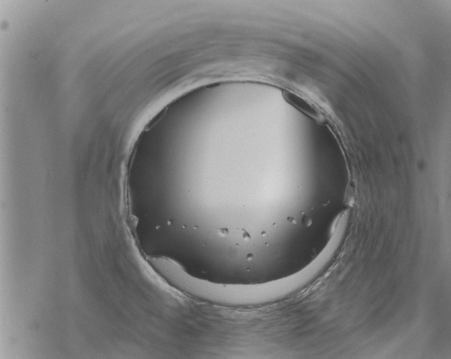 X0000068771528200605262153