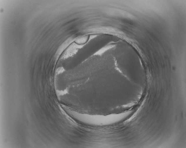 X0000068771529200605262153