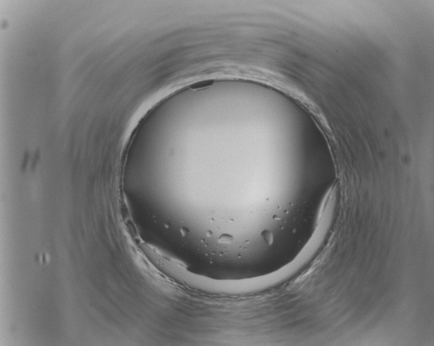 X0000068771530200605262153