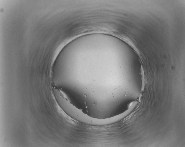 X0000068771532200605262153