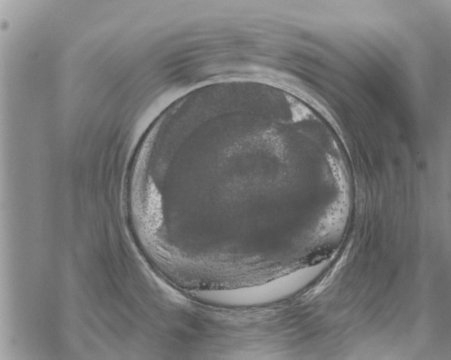 X0000068771533200605262153