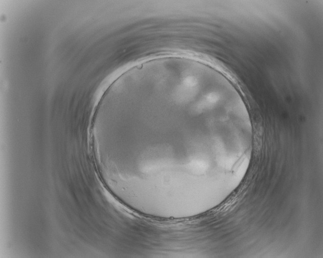 X0000068771535200605262153