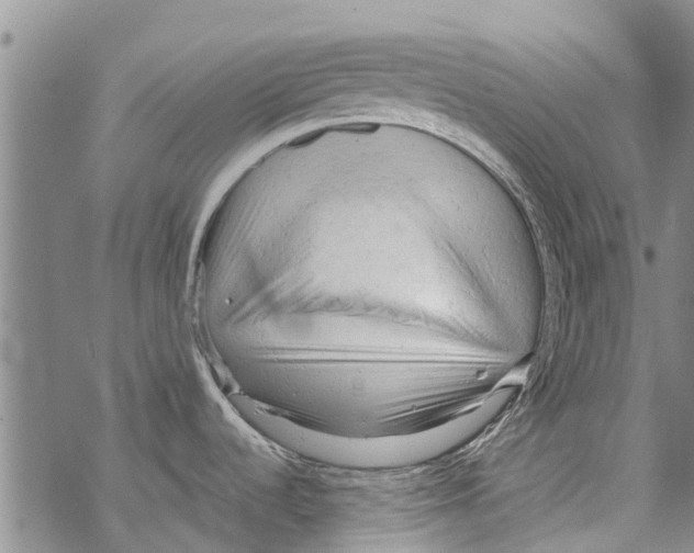 X0000068771536200605262153