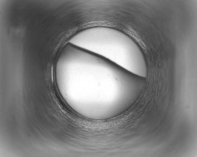 X0000068810014200605050928