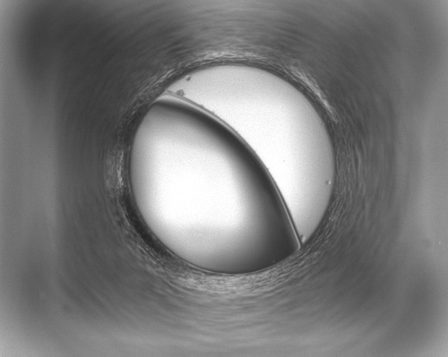 X0000068810023200605050928