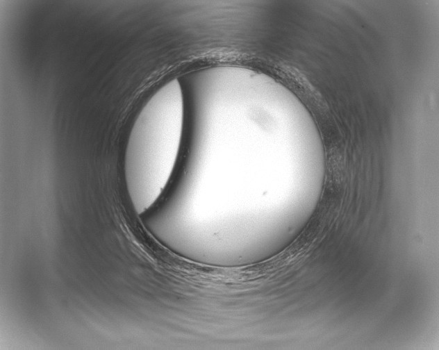 X0000068810024200605050928