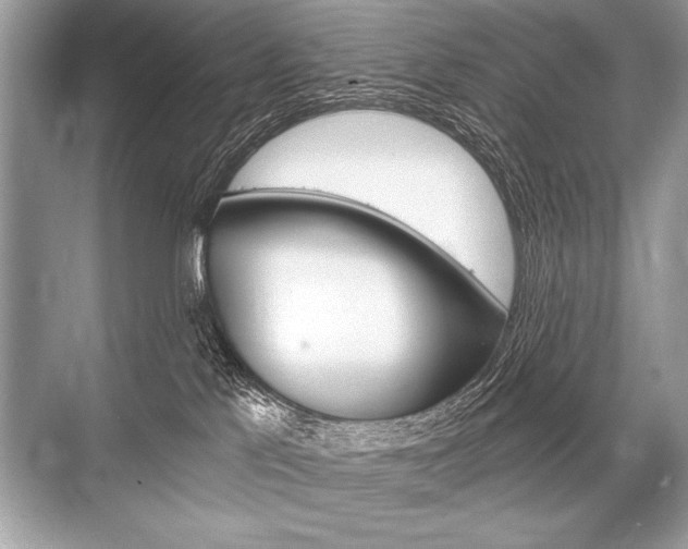 X0000068810041200605050928